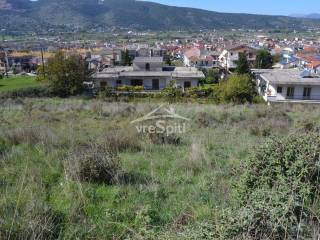 ΑΠΟΨΗ ΟΙΚΟΠΕΔΟΥ