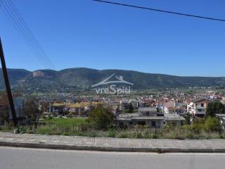 ΑΠΟΨΗ ΟΙΚΟΠΕΔΟΥ