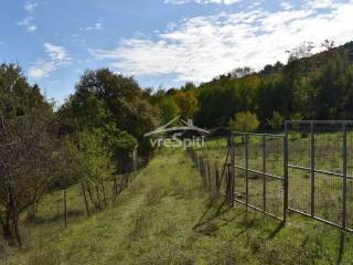 Φωτογραφίες οικοπέδου.