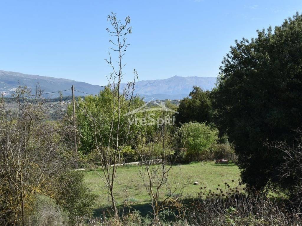 Φωτογραφίες οικοπέδου.