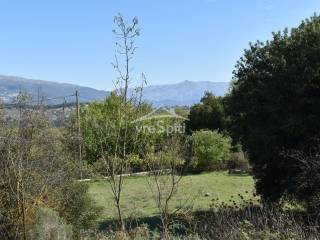 Φωτογραφίες οικοπέδου.