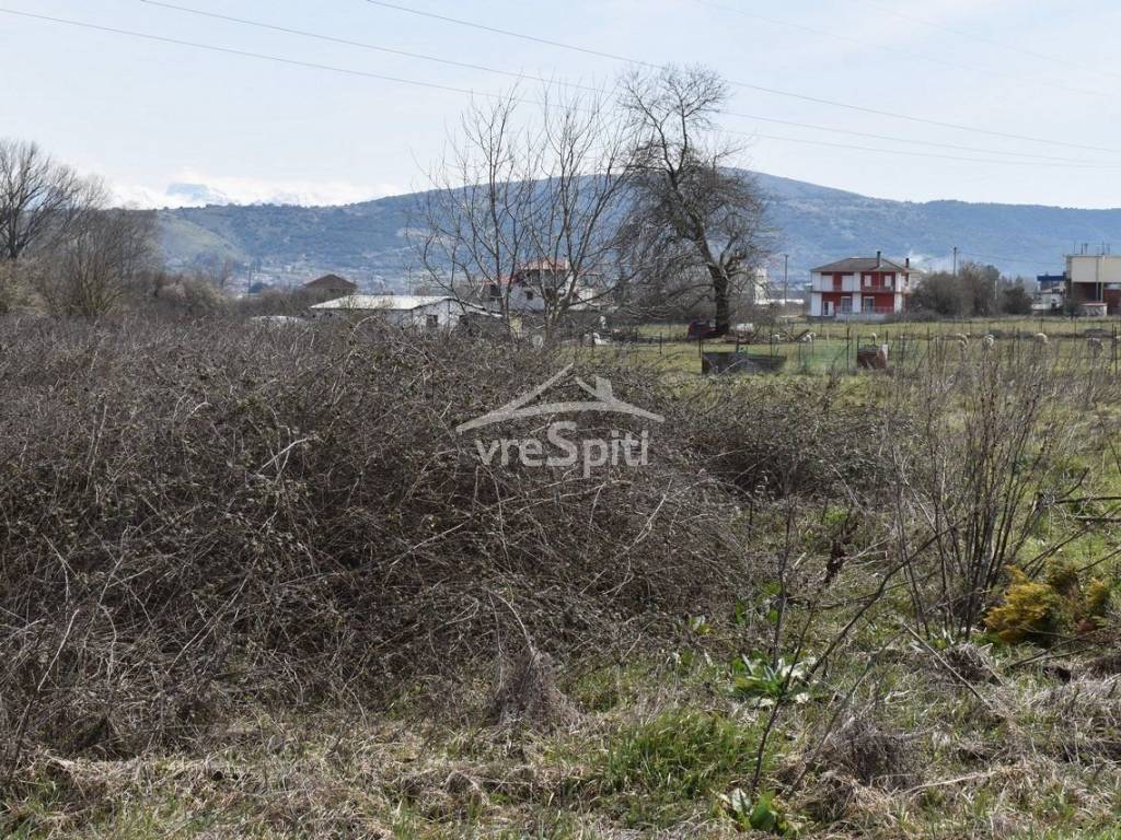 ΦΩΤΟΓΡΑΦΙΑ ΟΙΚΟΠΕΔΟΥ