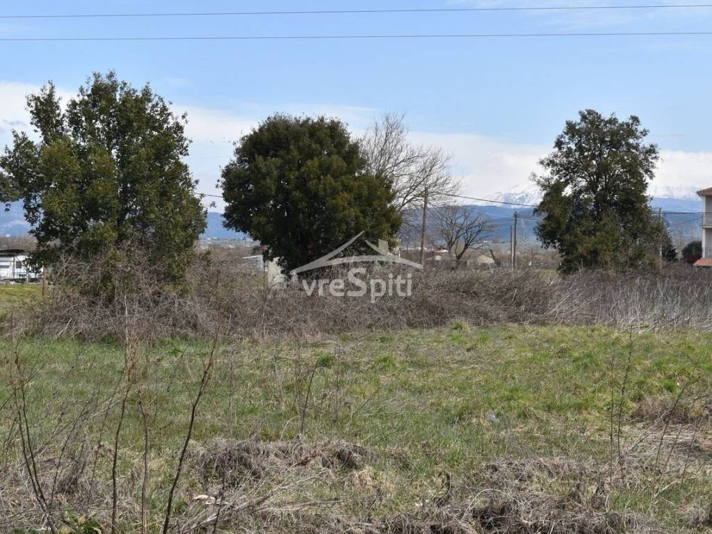 ΦΩΤΟΓΡΑΦΙΑ ΟΙΚΟΠΕΔΟΥ