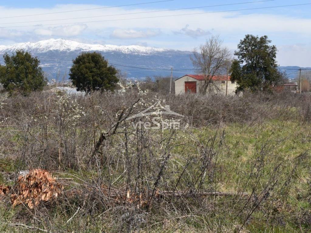 ΦΩΤΟΓΡΑΦΙΑ ΟΙΚΟΠΕΔΟΥ
