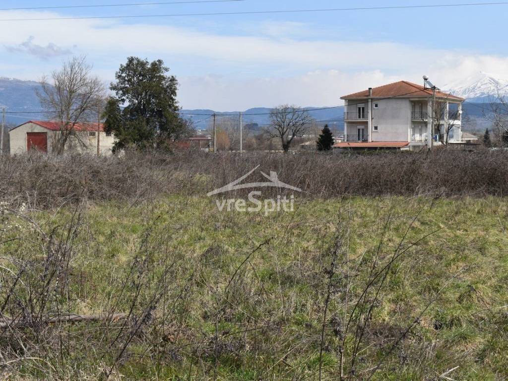 ΦΩΤΟΓΡΑΦΙΑ ΟΙΚΟΠΕΔΟΥ