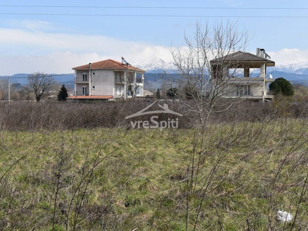 ΦΩΤΟΓΡΑΦΙΑ ΟΙΚΟΠΕΔΟΥ