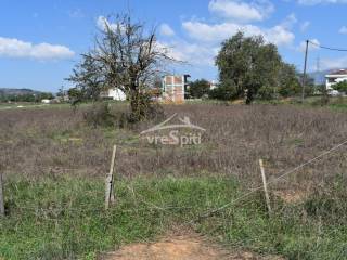 ΑΠΟΨΗ ΟΙΚΟΠΕΔΟΥ