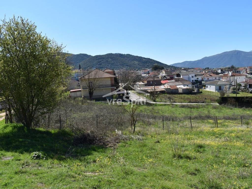 ΑΠΟΨΗ ΟΙΚΟΠΕΔΟΥ