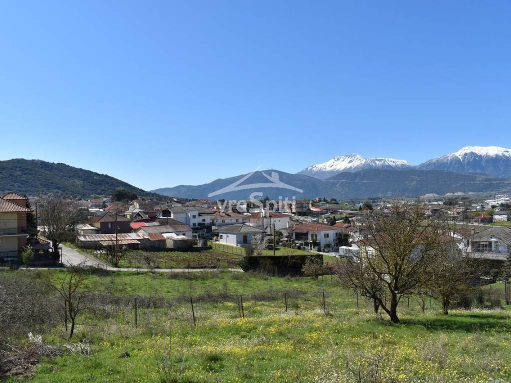 ΑΠΟΨΗ ΟΙΚΟΠΕΔΟΥ