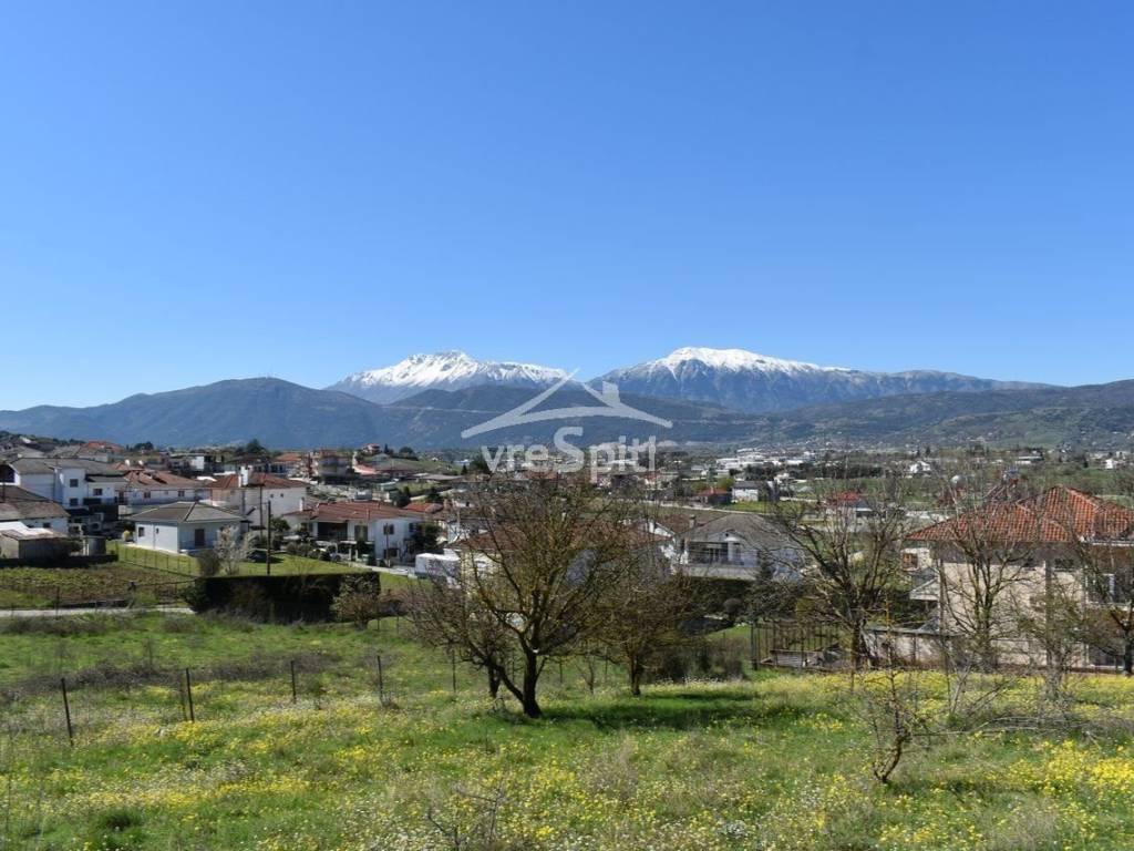 ΑΠΟΨΗ ΟΙΚΟΠΕΔΟΥ