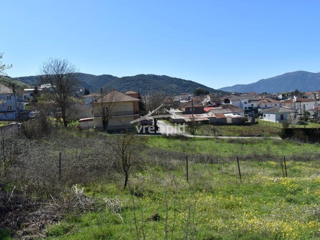 ΑΠΟΨΗ ΟΙΚΟΠΕΔΟΥ