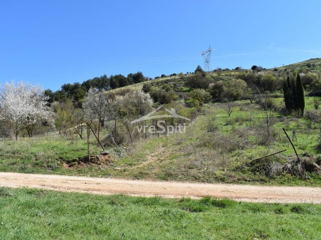 ΑΠΟΨΗ ΟΙΚΟΠΕΔΟΥ