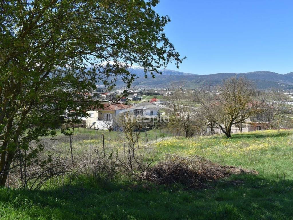 ΑΠΟΨΗ ΟΙΚΟΠΕΔΟΥ