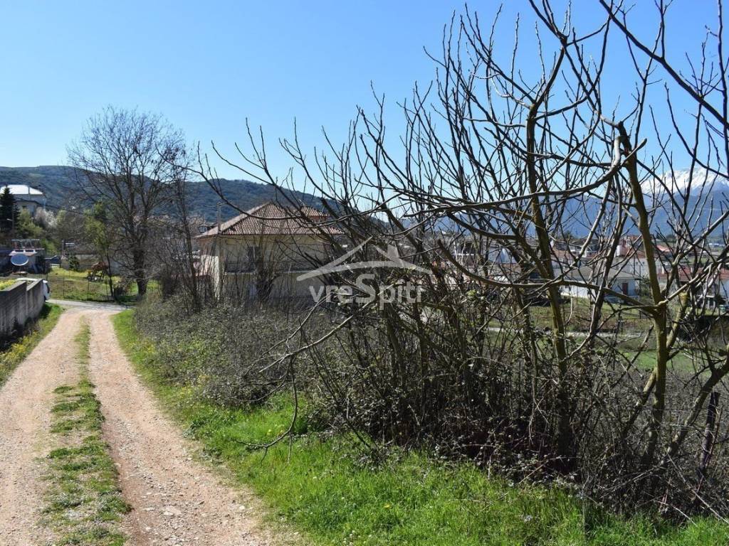 ΑΠΟΨΗ ΟΙΚΟΠΕΔΟΥ