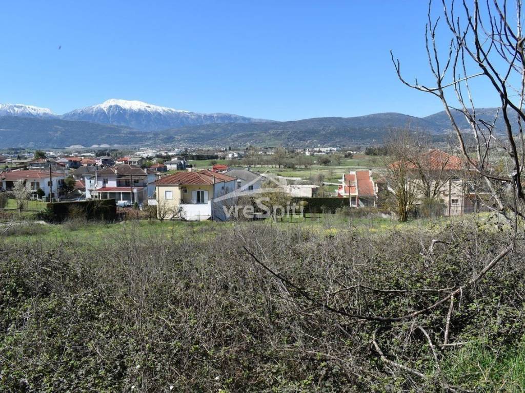 ΑΠΟΨΗ ΟΙΚΟΠΕΔΟΥ