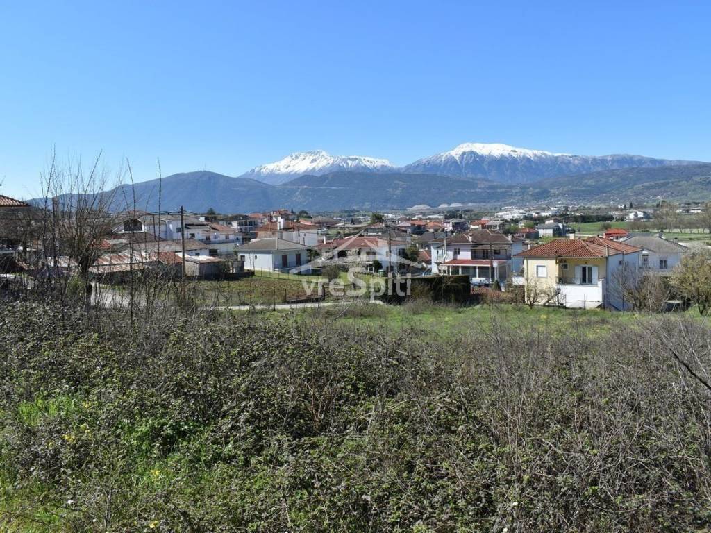 ΑΠΟΨΗ ΟΙΚΟΠΕΔΟΥ