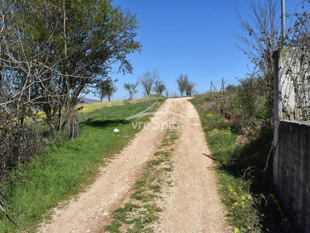 ΑΠΟΨΗ ΟΙΚΟΠΕΔΟΥ