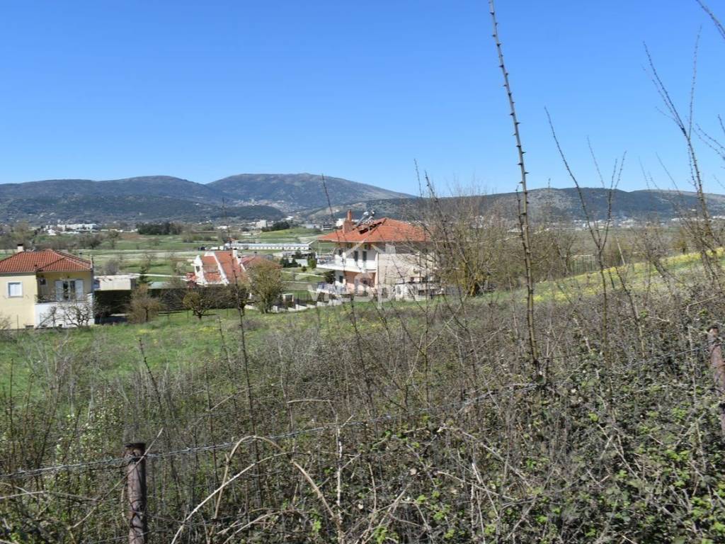 ΑΠΟΨΗ ΟΙΚΟΠΕΔΟΥ