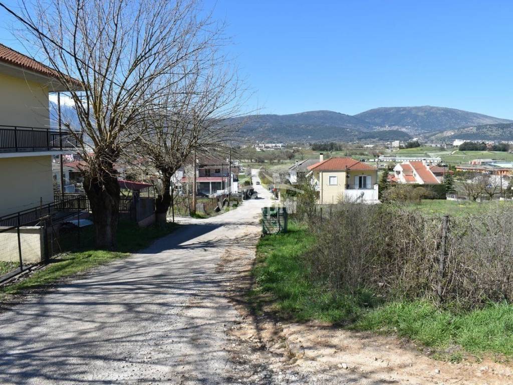 ΑΠΟΨΗ ΟΙΚΟΠΕΔΟΥ