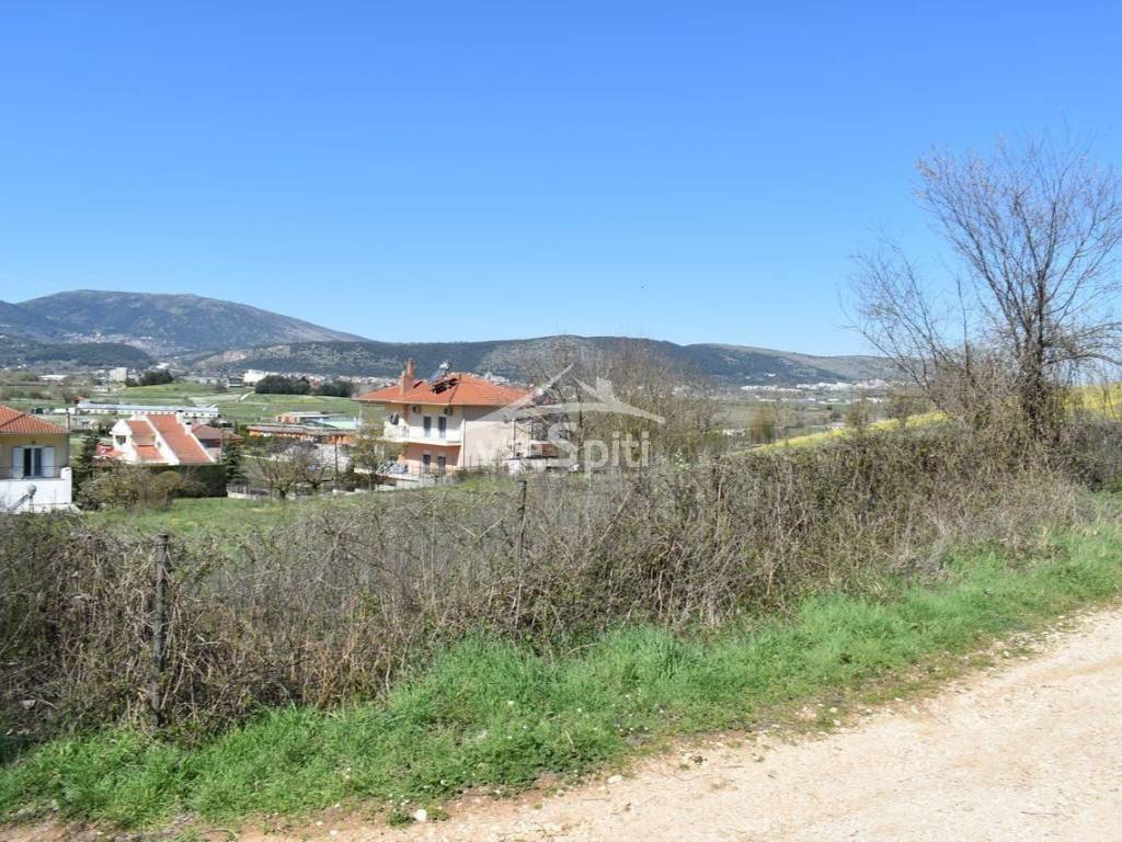 ΑΠΟΨΗ ΟΙΚΟΠΕΔΟΥ