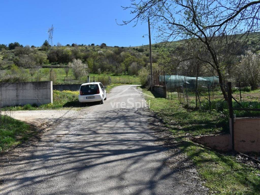 ΑΠΟΨΗ ΟΙΚΟΠΕΔΟΥ