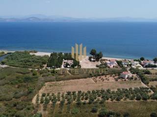 Εξωτερικοι χώροι