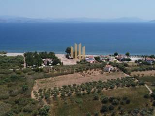 Εξωτερικοι χώροι