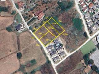 ΣΧΗΜΑ ΟΙΚΟΠΕΔΟΥ