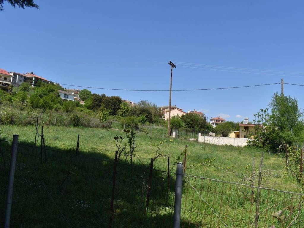 ΑΠΟΨΗ ΟΙΚΟΠΕΔΟΥ