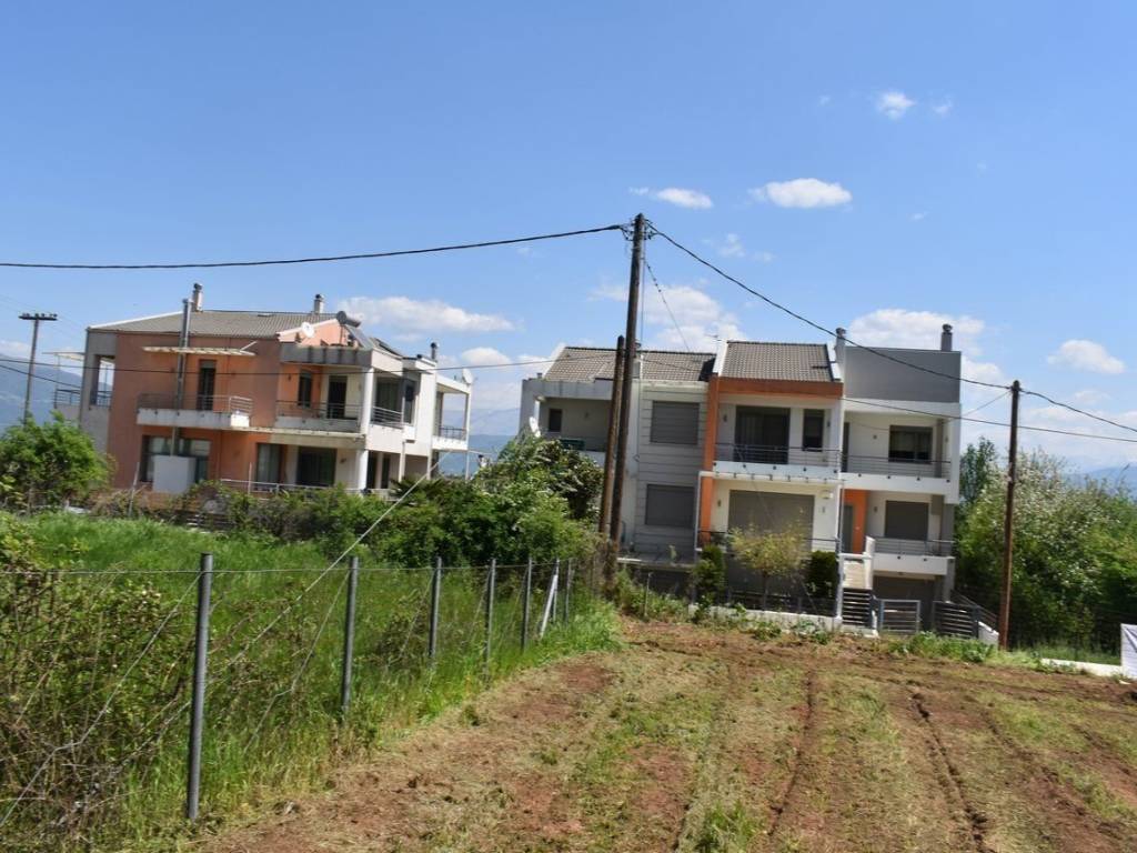 ΑΠΟΨΗ ΟΙΚΟΠΕΔΟΥ