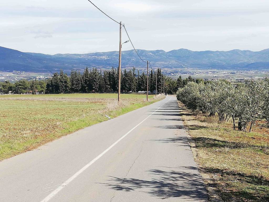 Θέση του αγροτεμαχίου 2