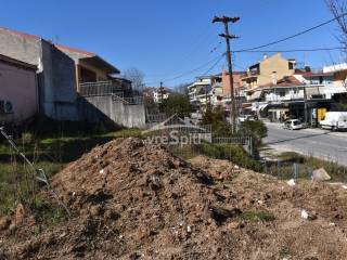 ΑΠΟΨΗ ΟΙΚΟΠΕΔΟΥ