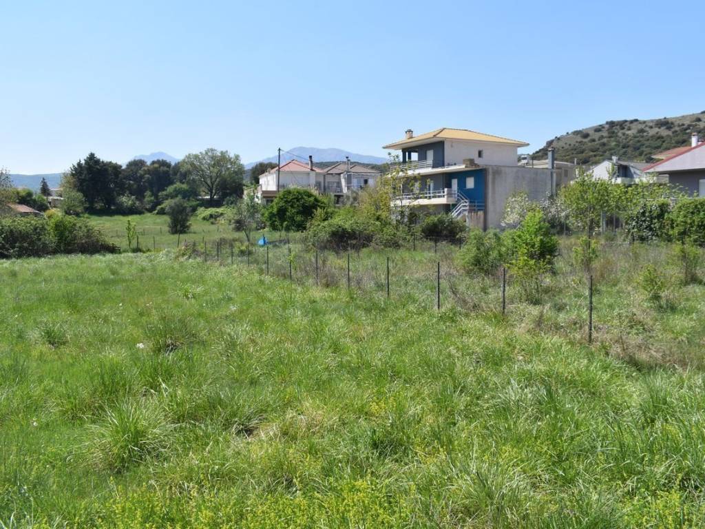 ΑΠΟΨΗ ΟΙΚΟΠΕΔΟΥ