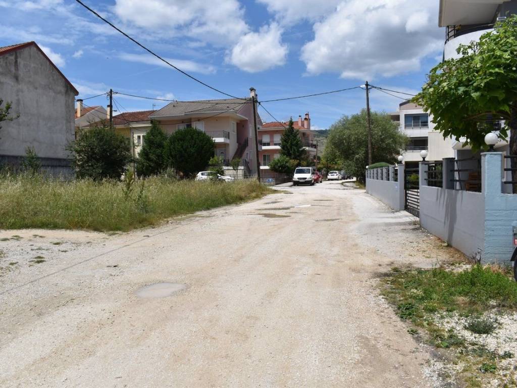 ΑΠΟΨΗ ΟΙΚΟΠΕΔΟΥ