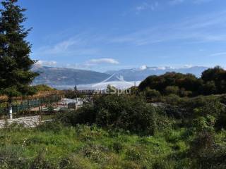 ΑΠΟΨΗ ΟΙΚΟΠΕΔΟΥ