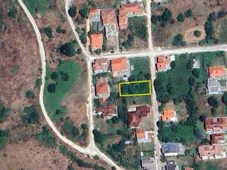 ΣΧΗΜΑ ΟΙΚΟΠΕΔΟΥ