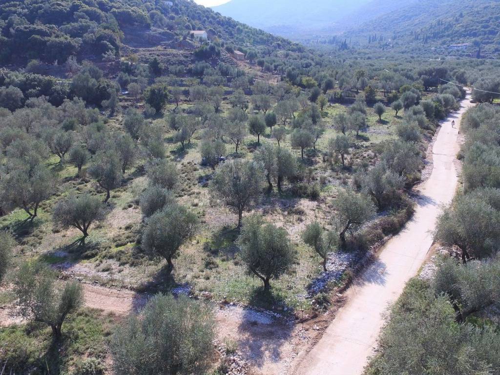 Paved road leading to property