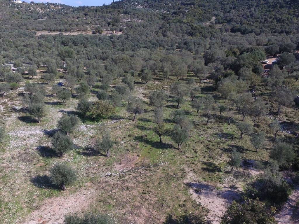 Aerial view of land