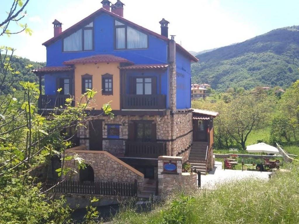 Αρχική μορφή σε λειτουργία