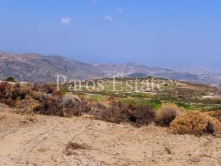 Θέα από το αγροτεμάχιο