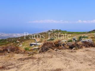 Θέα από το αγροτεμάχιο