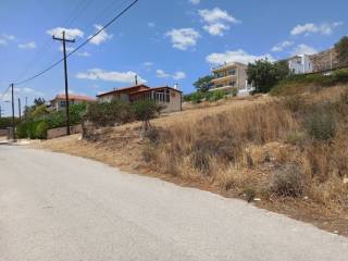 PROSOPSE 17 m. SE ASPHALTOSTROMENE ODO