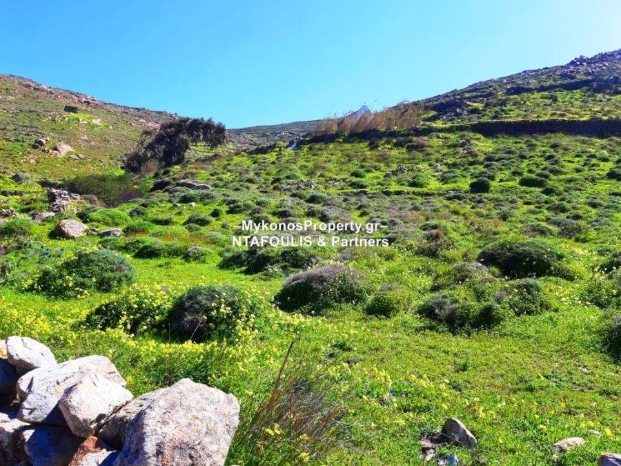 Mykonos real estate - Plot 10.007 sq.m in Elia