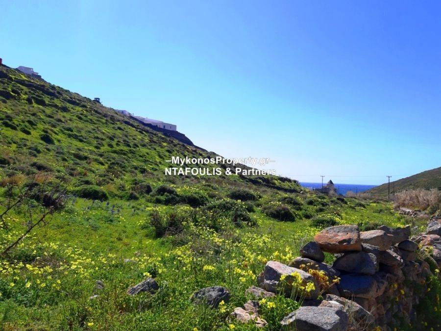 Mykonos real estate - Plot 10.007 sq.m in Elia