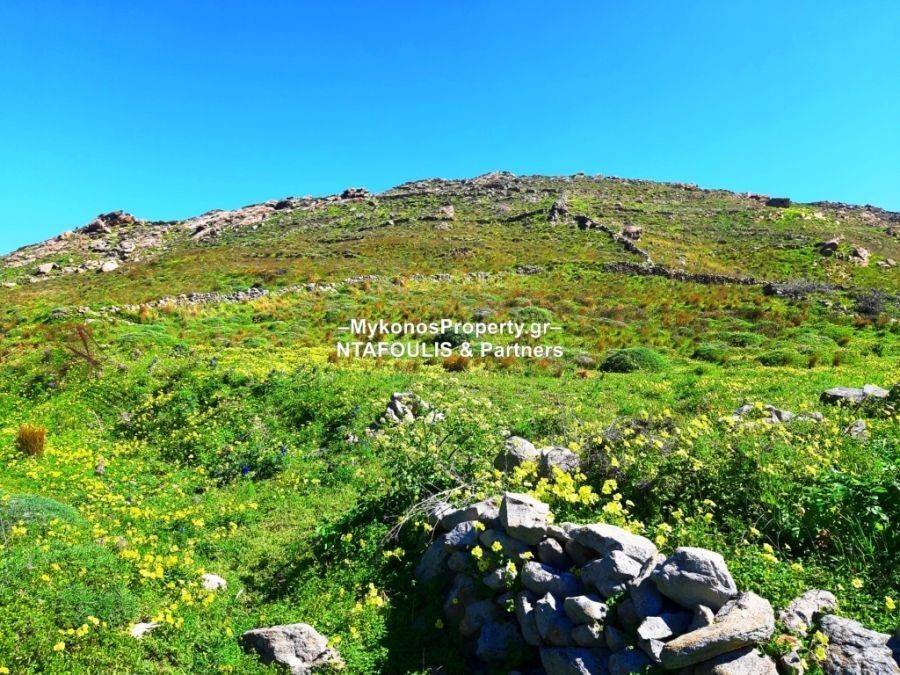 Mykonos real estate - Plot 10.007 sq.m in Elia