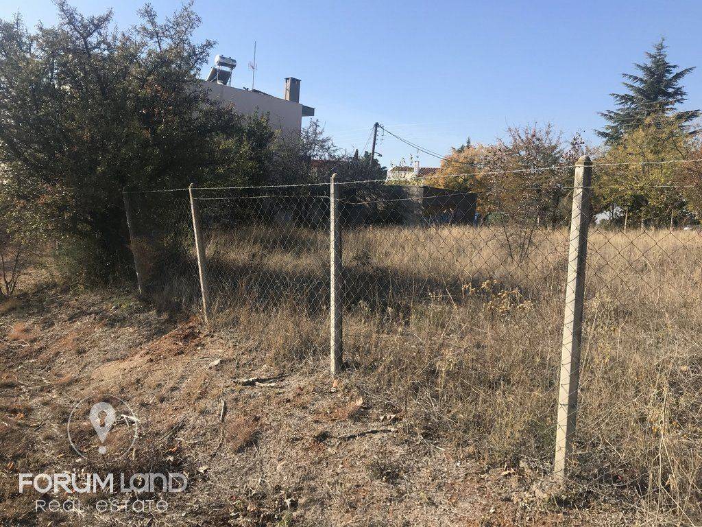 Forumland Real Estate, οικόπεδο 850τμ.