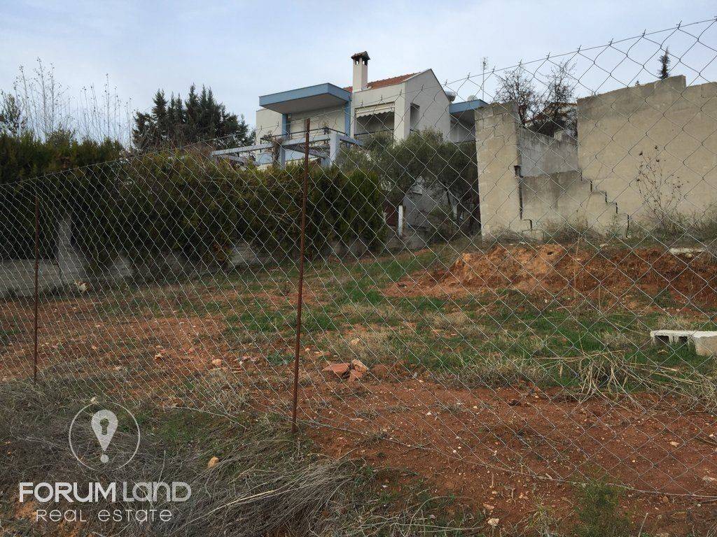 Forumland Real Estate  ,οικόπεδο 750τμ