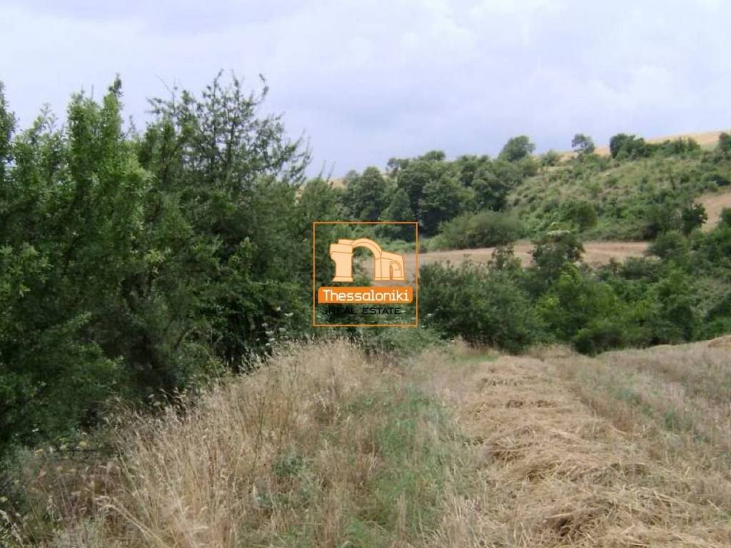 Τρίλοφος, Αγροτεμάχιο, 47.159 τ.μ.