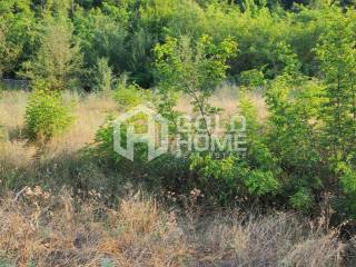 ΑΠΟΨΗ ΟΙΚΟΠΕΔΟΥ