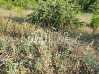 ΑΠΟΨΗ ΟΙΚΟΠΕΔΟΥ